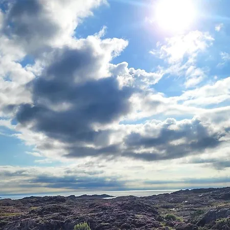 Beautiful In With Wifi